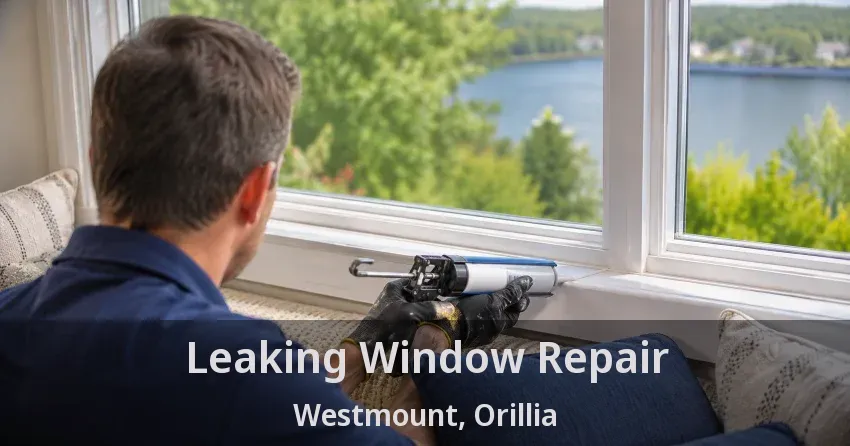 Leaking Window Repair Westmount, Orillia - ON